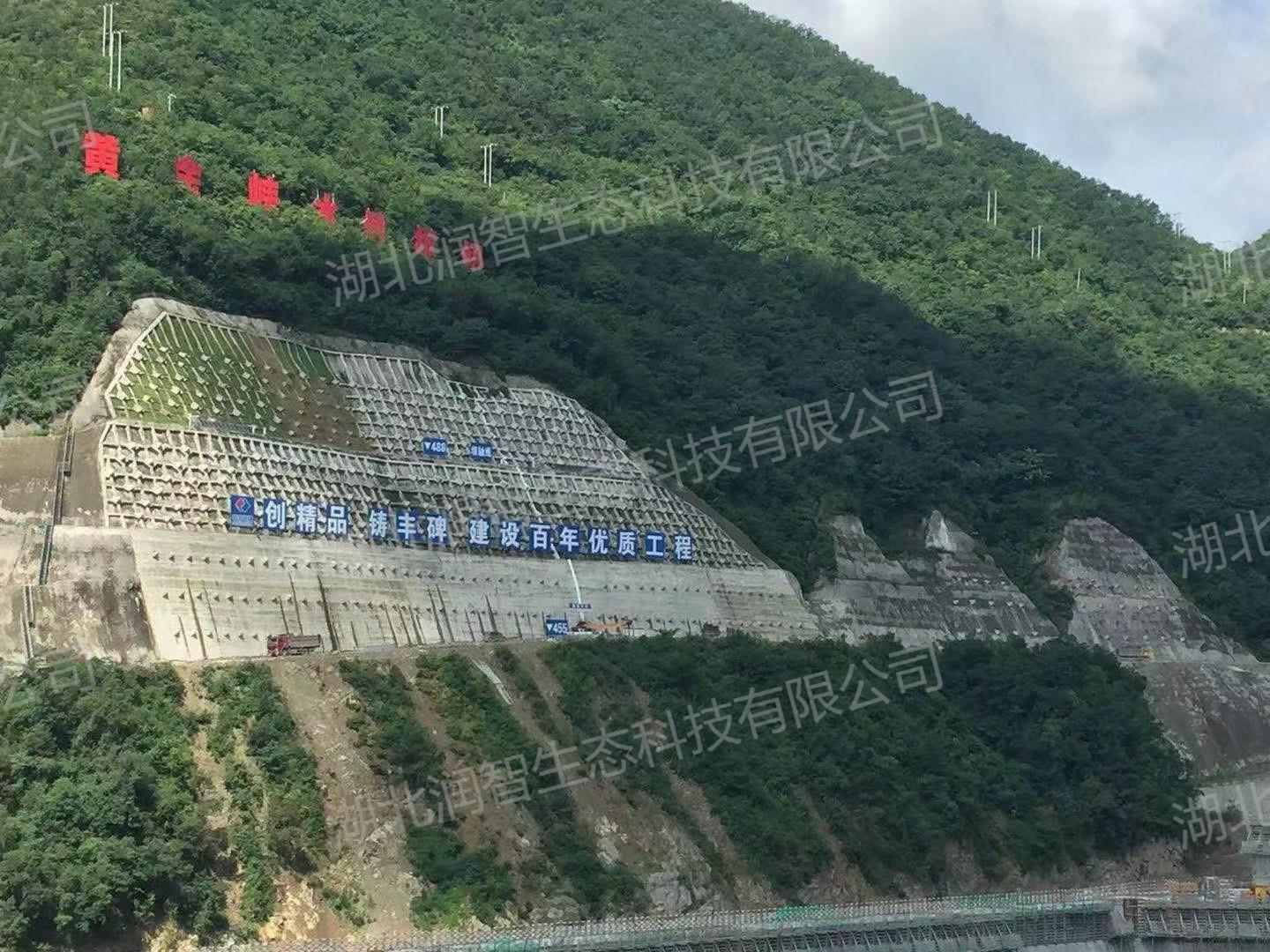 1745314135920084676.jpg 2020.9.jpg